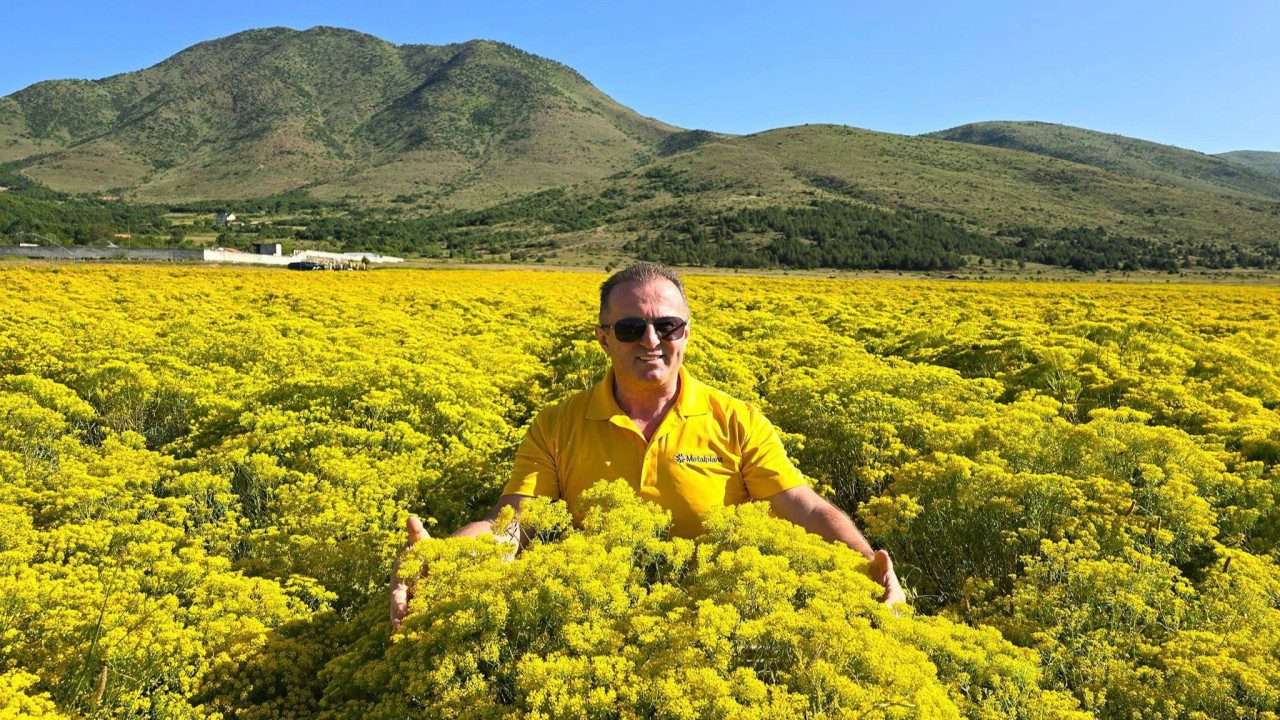 Deutsche Welle Feature:  Sahit Muja’s Vision of Regenerative Mining – Nature as the World’s Greatest Technologist