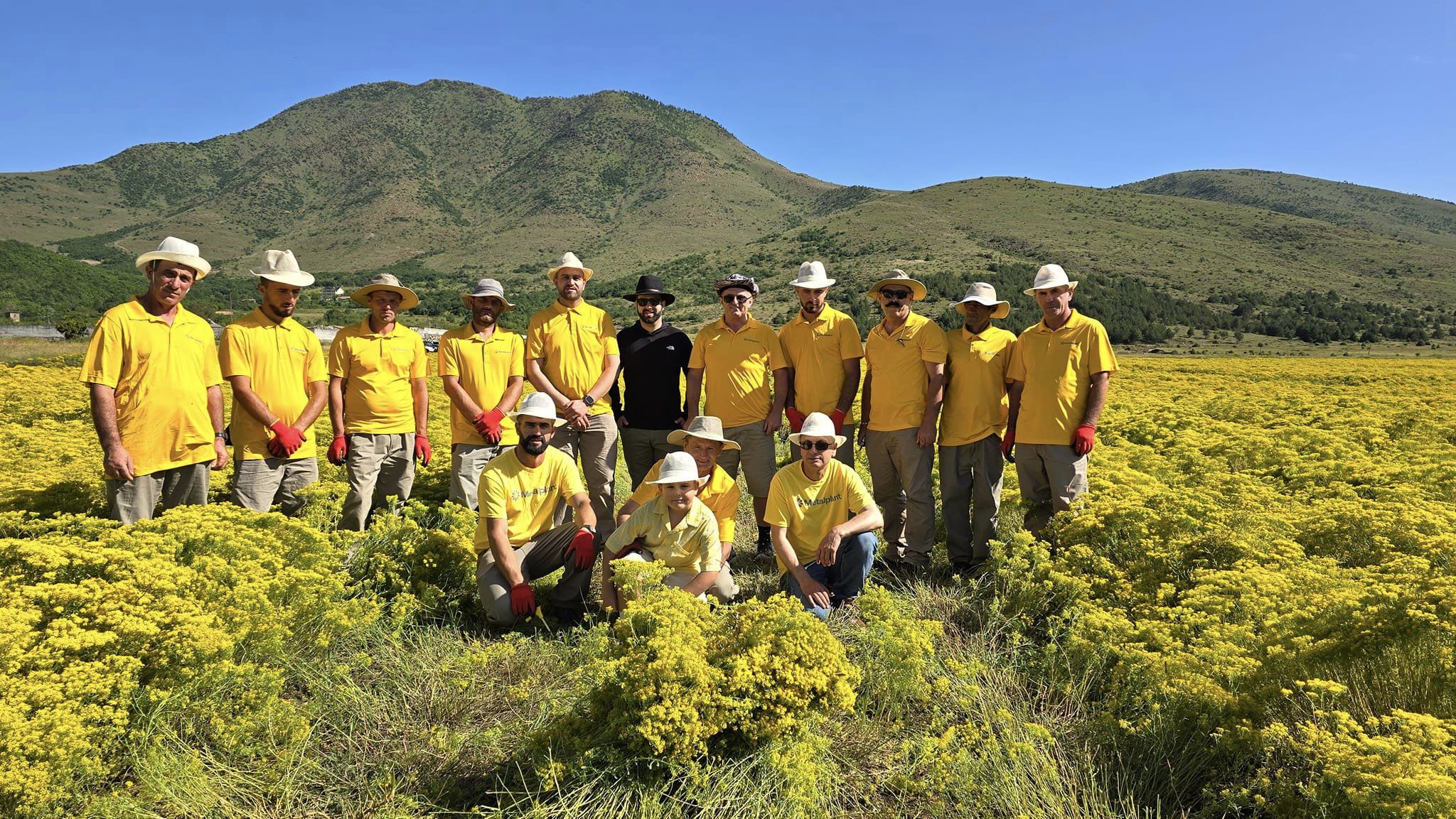 The Golden Blossom of Tropoje: A Revolution in Nickel Sustainability